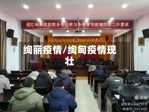 绚丽疫情/绚甸疫情现壮