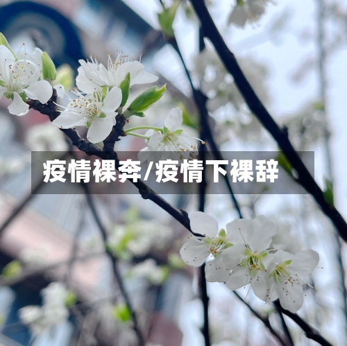 疫情裸奔/疫情下裸辞
