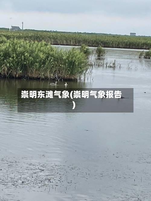 崇明东滩气象(崇明气象报告)-第2张图片