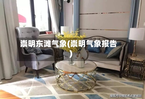 崇明东滩气象(崇明气象报告)