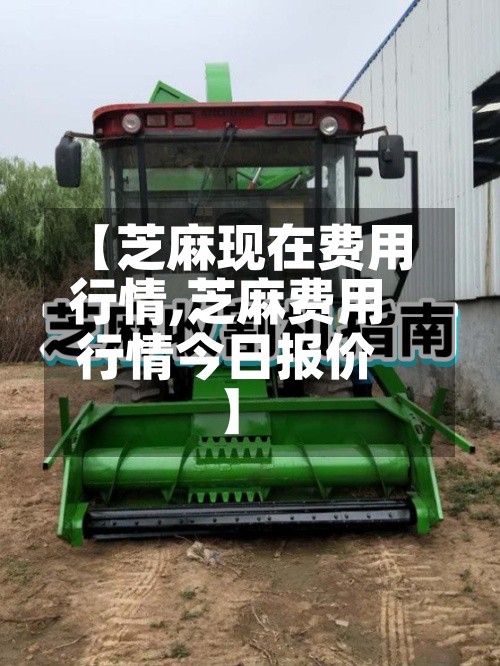 【芝麻现在费用行情,芝麻费用行情今日报价】-第2张图片