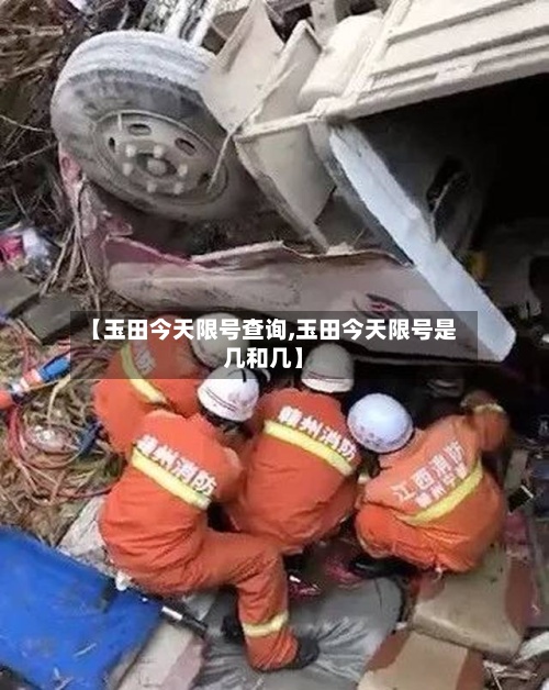 【玉田今天限号查询,玉田今天限号是几和几】-第2张图片
