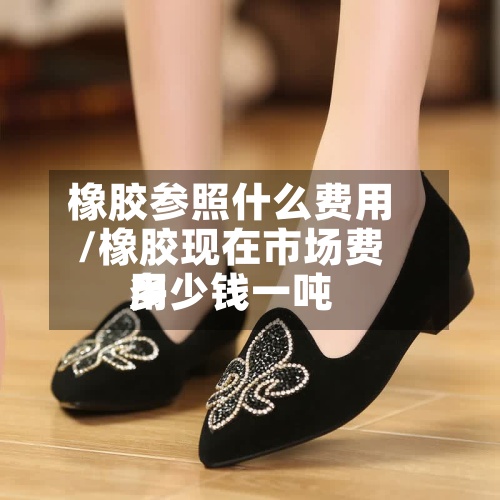 橡胶参照什么费用/橡胶现在市场费用多少钱一吨