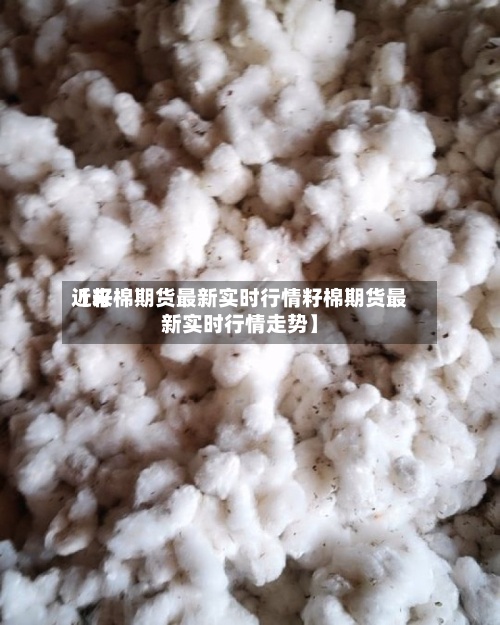 近来【籽棉期货最新实时行情籽棉期货最新实时行情走势】-第2张图片