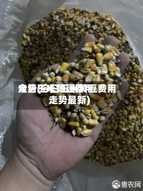 今日玉米黄豆费用走势(今日玉米黄豆费用走势最新)