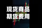 现货商品期货费用/期货产品的现货费用