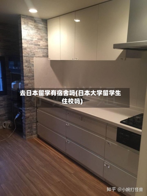 去日本留学有宿舍吗(日本大学留学生住校吗)