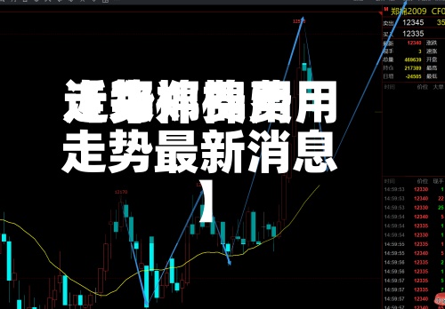 近来【郑棉费用走势郑棉费用走势最新消息】