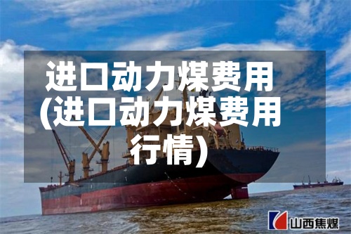 进口动力煤费用(进口动力煤费用行情)