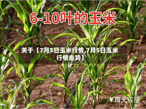 关于【7月5日玉米行情,7月5日玉米行情走势】