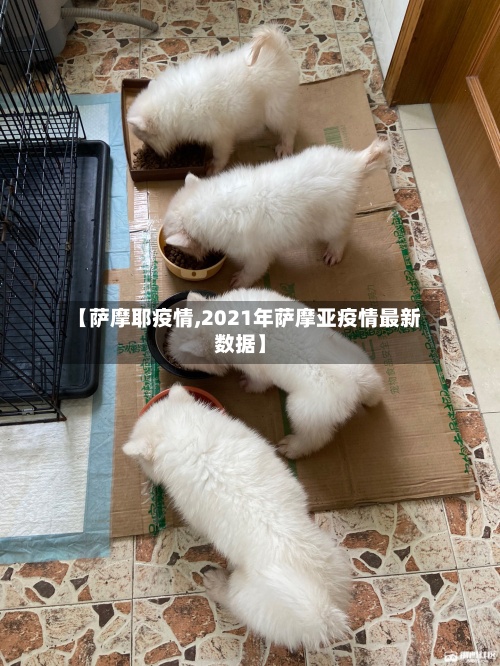 【萨摩耶疫情,2021年萨摩亚疫情最新数据】-第2张图片