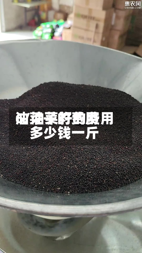 油莱子的费用6/油菜籽的费用多少钱一斤-第2张图片
