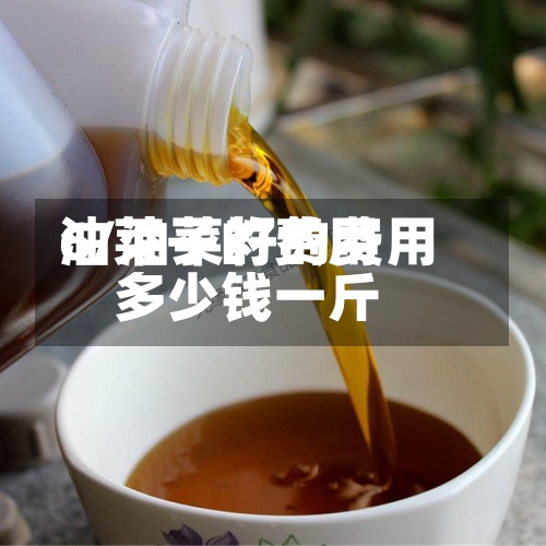 油莱子的费用6/油菜籽的费用多少钱一斤