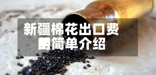 新疆棉花出口费用
的简单介绍-第2张图片