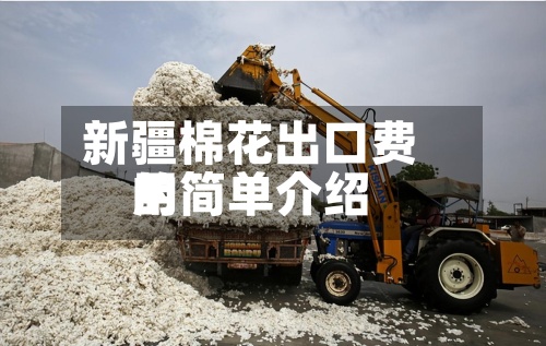 新疆棉花出口费用的简单介绍