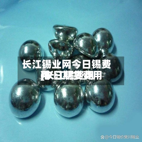 长江锡业网今日锡费用(长江锡费用 今日期货费用)-第2张图片