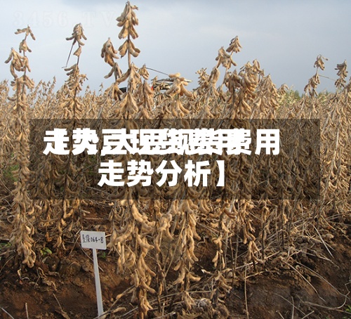 【大豆现货费用走势,大豆现货费用走势分析】-第2张图片