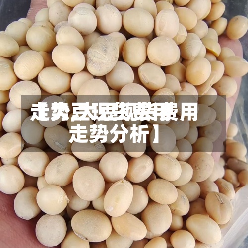 【大豆现货费用走势,大豆现货费用走势分析】-第3张图片