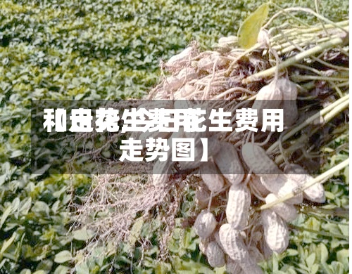 【日花生费用和走势,今日花生费用走势图】