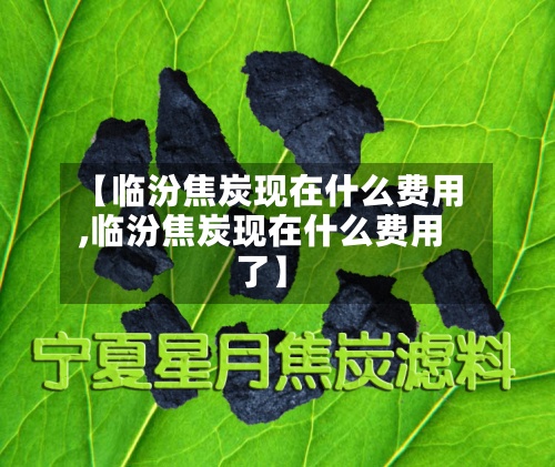 【临汾焦炭现在什么费用,临汾焦炭现在什么费用了】-第2张图片