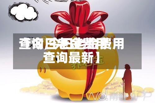 【今日老金费用查询,今日老金费用查询最新】