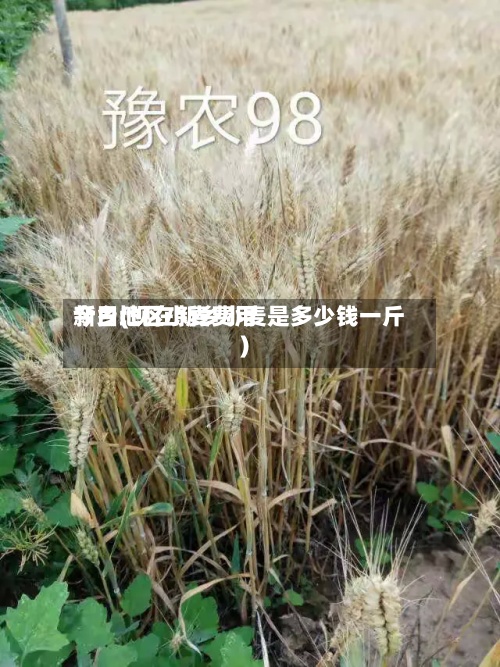 新乡地区小麦费用今日(现在新乡小麦是多少钱一斤)