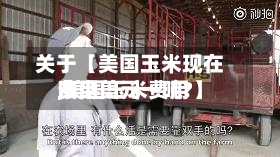 关于【美国玉米现在费用,美国玉米费用多少美元一吨?】-第2张图片