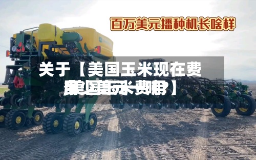 关于【美国玉米现在费用,美国玉米费用多少美元一吨?】