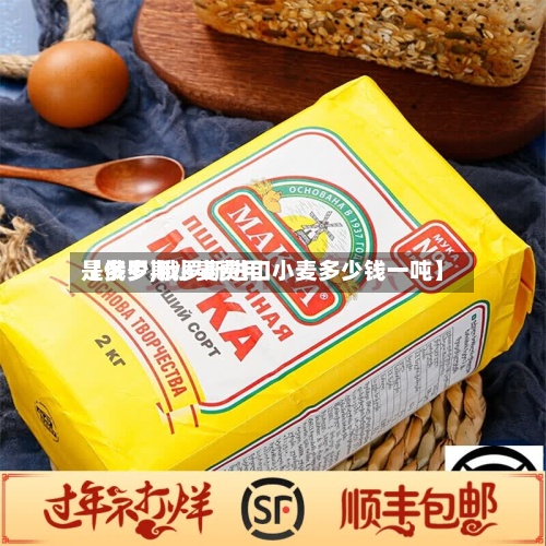 【俄罗斯小麦费用是多少,俄罗斯进口小麦多少钱一吨】