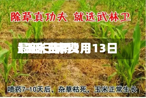 13日玉米费用/玉米费用最新行情12月13日