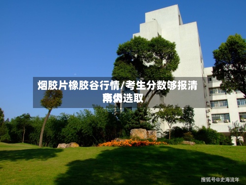 烟胶片橡胶谷行情/考生分数够报清华仍选取南大-第2张图片