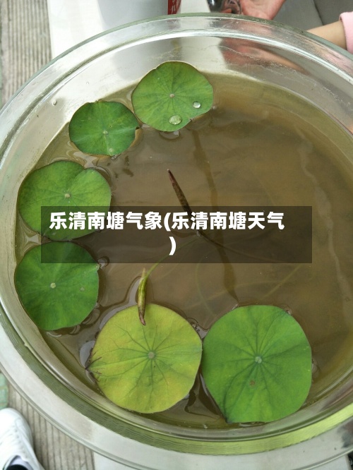 乐清南塘气象(乐清南塘天气)-第2张图片