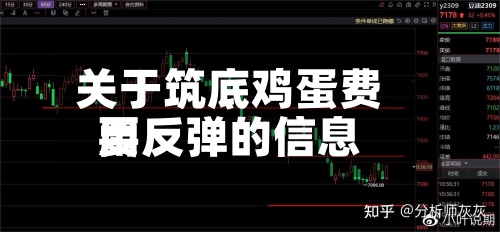 关于筑底鸡蛋费用要反弹的信息