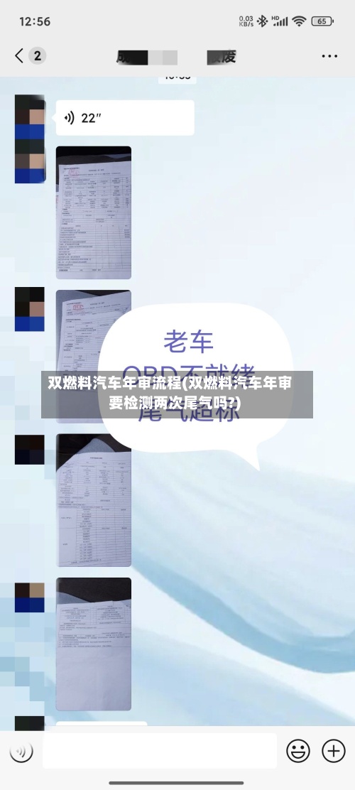 双燃料汽车年审流程(双燃料汽车年审要检测两次尾气吗?)-第2张图片