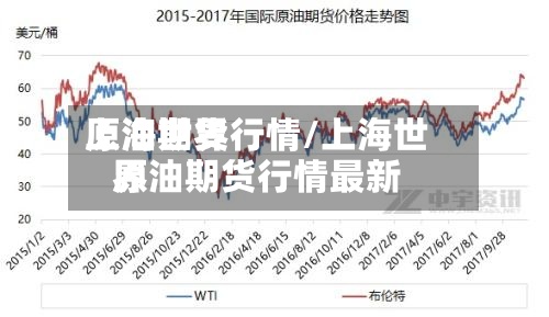 上海世界原油期货行情/上海世界原油期货行情最新-第3张图片