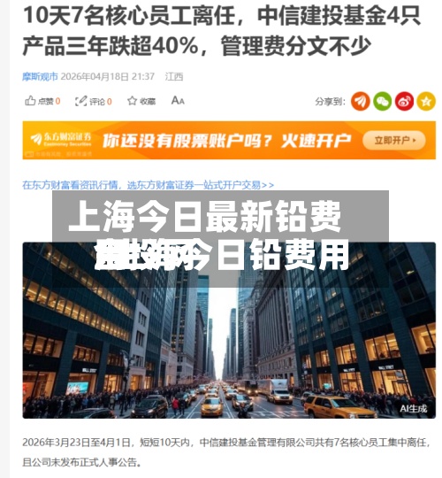 上海今日最新铅费用/上海今日铅费用金投网-第3张图片