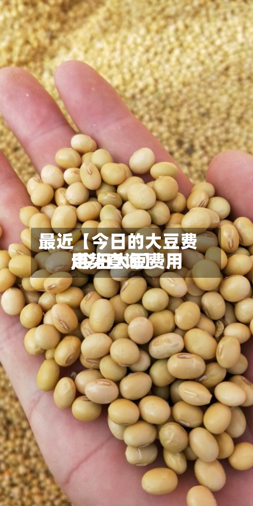 最近【今日的大豆费用,今日大豆费用走势查询】