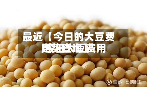 最近【今日的大豆费用,今日大豆费用走势查询】-第3张图片