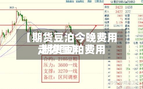 【期货豆泊今晚费用,期货豆粕费用走势图】