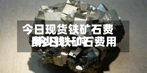 今日现货铁矿石费用/今日铁矿石费用多少钱一吨