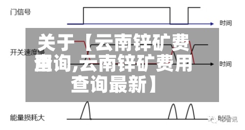 关于【云南锌矿费用查询,云南锌矿费用查询最新】-第3张图片