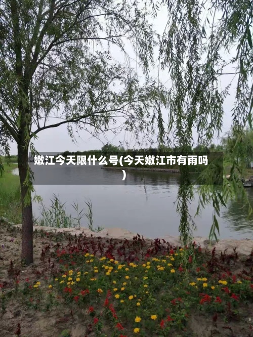 嫩江今天限什么号(今天嫩江市有雨吗)-第2张图片