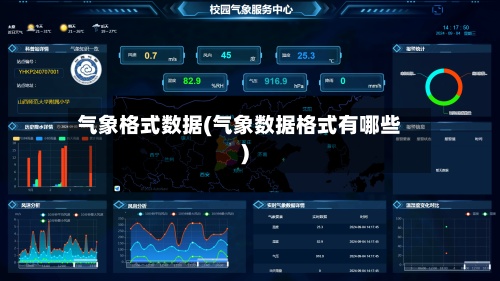 气象格式数据(气象数据格式有哪些)-第2张图片