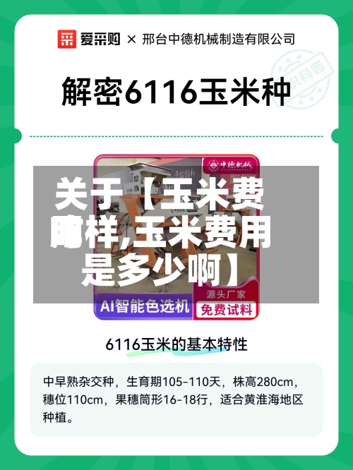 关于【玉米费用
咋样,玉米费用
是多少啊】-第3张图片