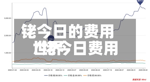 铑今日的费用/铑今日费用世界