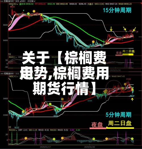 关于【棕榈费用走势,棕榈费用期货行情】