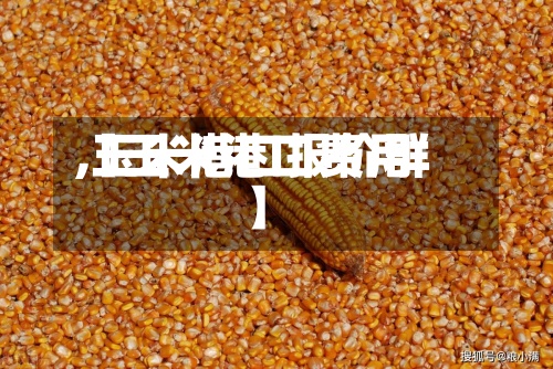 【玉米港口费用,玉米港口报价群】