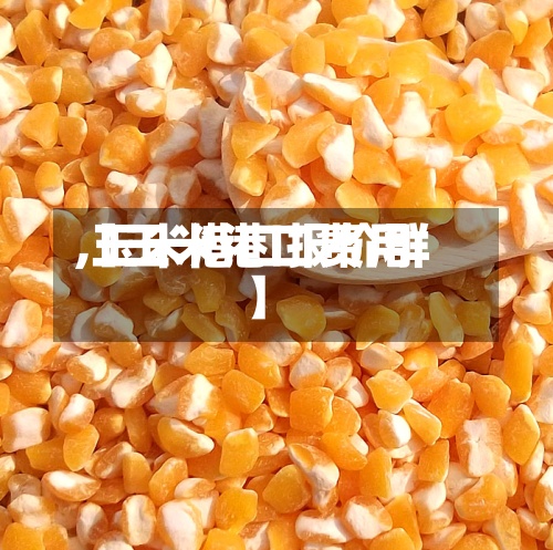 【玉米港口费用,玉米港口报价群】-第2张图片