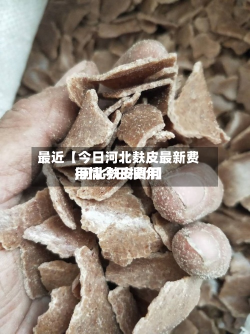 最近【今日河北麸皮最新费用,河北麸皮费用行情今日报价】-第2张图片