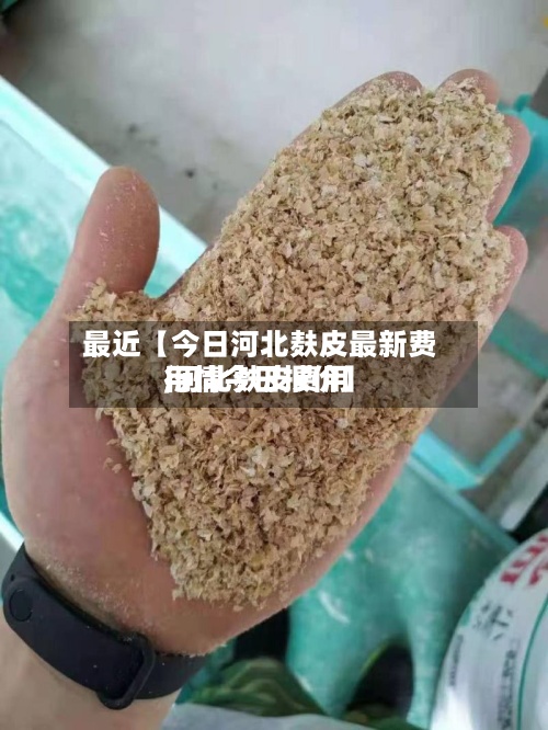 最近【今日河北麸皮最新费用,河北麸皮费用行情今日报价】